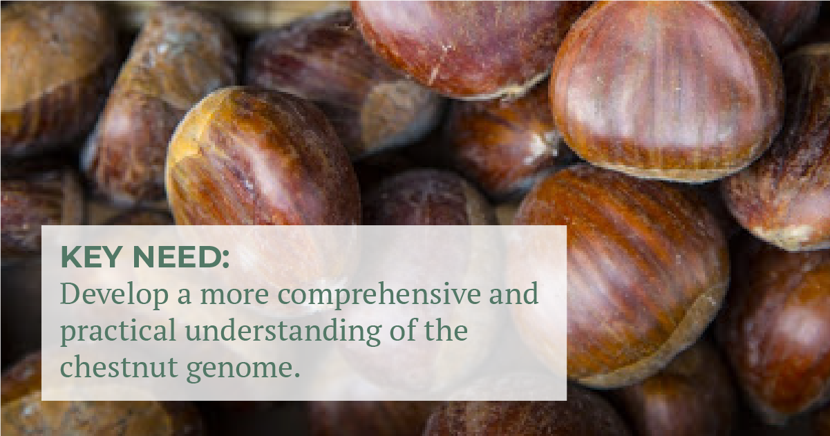 Figure2 SI Chestnut